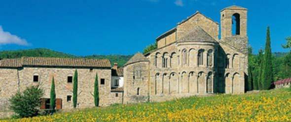 pieve_girasoli_590-3